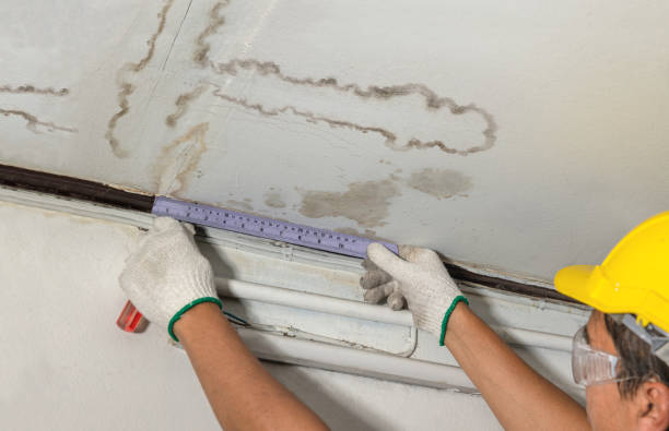 Reliable Water Damage contractor in Gerton, NC by Water Damage Irwin